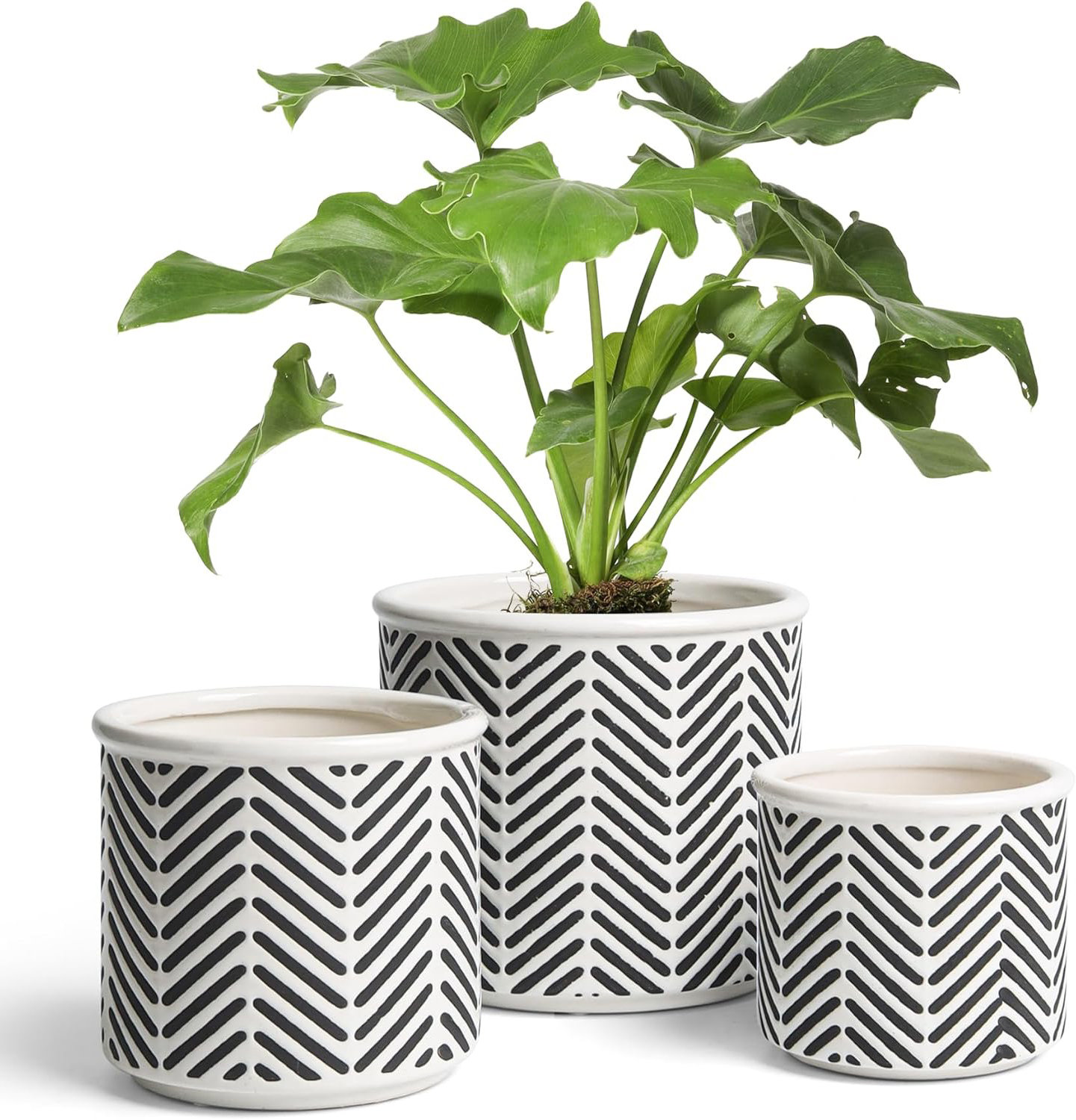 Latitude Run Vasantha Ceramic Pot Planter Wayfair